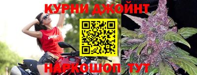 сатива Донской