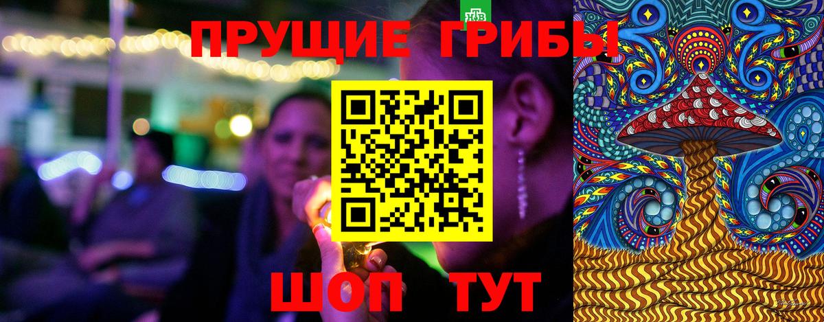 где купить наркоту  Галлюциногенные грибы прущие грибы  Вход с VPN  Псилоцибиновые грибы Psilocybine cubensis  Луга 